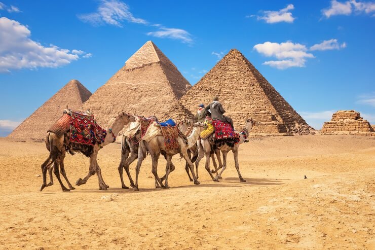 bedouins camels front famous giza pyramids egypt 400112 744