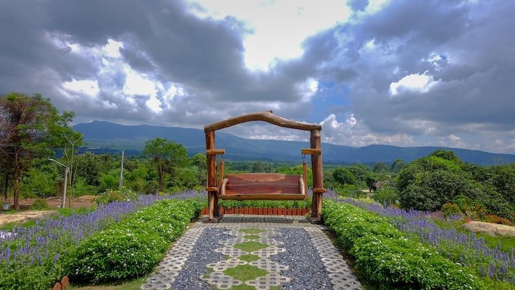 empty road amidst plants trees against sky 1048944 13155042