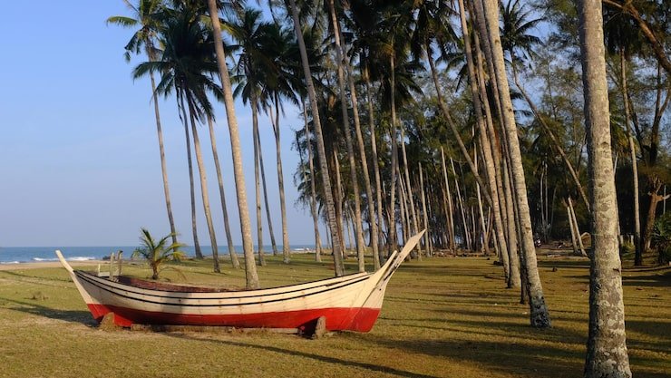 panoramic shot palm trees beach against sky 1048944 22942523