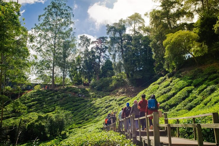 rear view people walking footbridge 1048944 6680382
