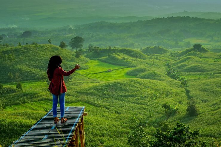 rear view woman standing field 1048944 24280926