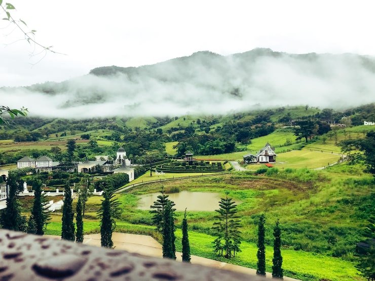 scenic view agricultural field against sky 1048944 22015681