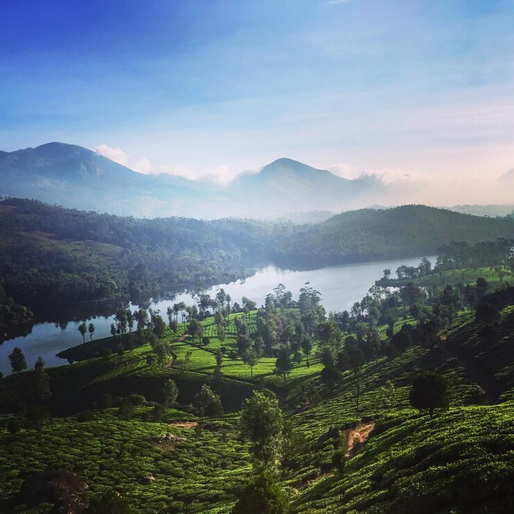 scenic view agricultural landscape against sky 1048944 25413668