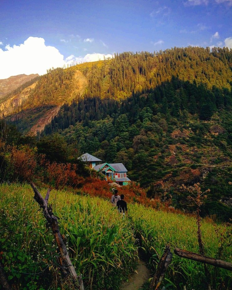 scenic view field against sky 1048944 28042390