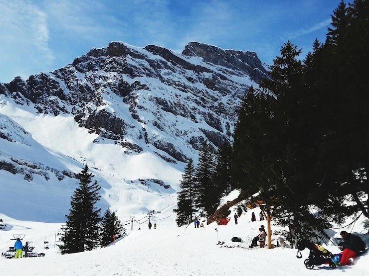 snow covered trees against sky 1048944 327715