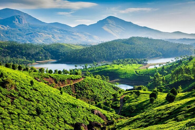 tea plantations muthirappuzhayar river hills near munnar kerala india 163782 13060