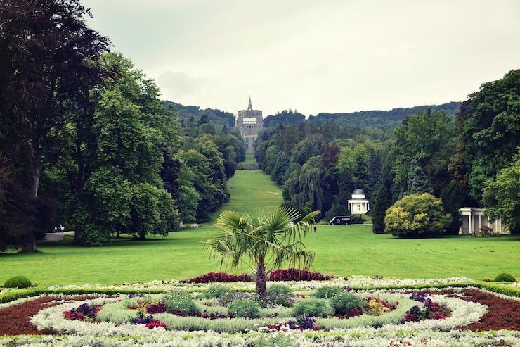 trees plants garden 1048944 29321027