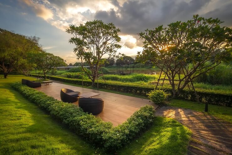 trees plants growing field against sky 1048944 26778200