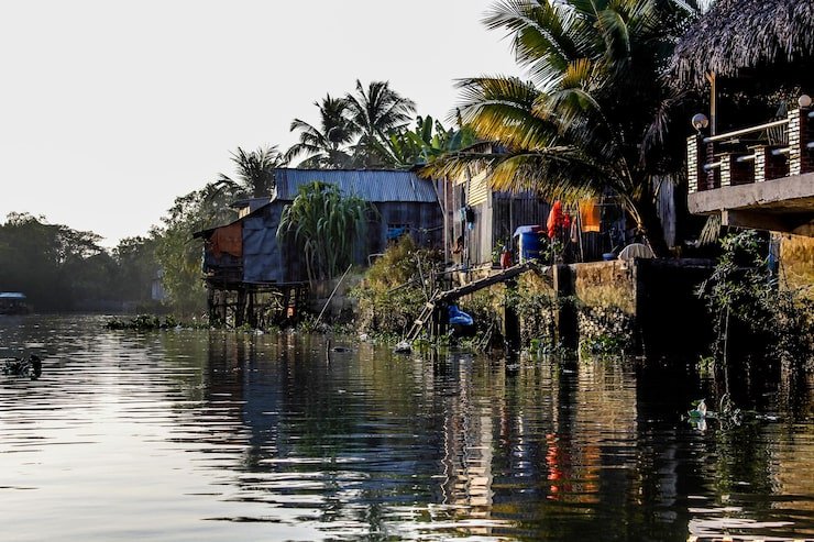 wet trees by lake rainy season 1048944 28033131